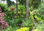 Dutch House - Bandarawela Garden