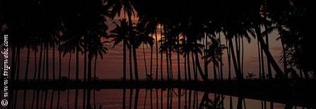  Hotels  In Sri Lanka  - Image : Sunset - SriLanka Beach