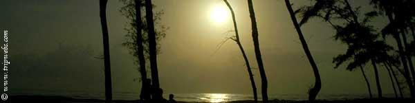 at evening in sri  lanka lake 