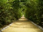 Bar Reef Resort  Entrance Walkway