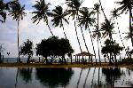 View of Pool by the Sea