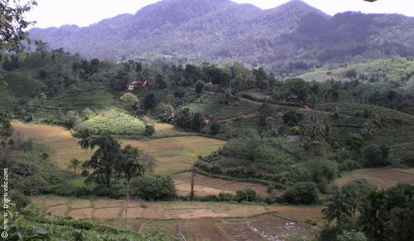 Surrounding Valley