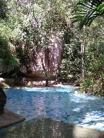 Pool amidst nature