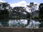 Poolside view