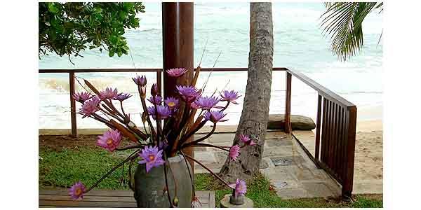 Sri Lankan Villa