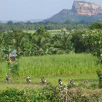 Kassapa Lions Rock - Bicycle Tour