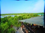 Chaaya Wild - Yala - View from the rooftop dining area