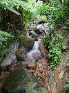 Villa Garden Stream