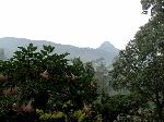 View of Adams Peak from Villa