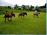 Kukuleganga Holiday Resort Kalutara Pony rides