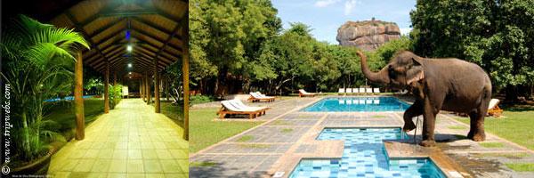 Hotel Sigiriya - Sri Lanka