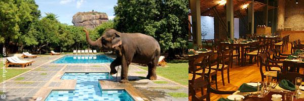 Hotel Sigiriya - Sri Lanka