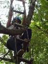 Rope Ladder Climbing