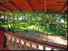 Ocean and Garden View from Rooms