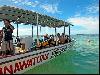 Diving Boat Tour