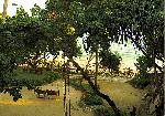 Villa Garden and Beach