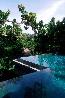 Villa Infinity Pool overlooking jungle