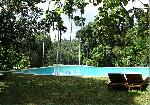 Kandy House - Pool 