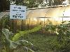 Hotel Sigiriya - Organic Vegetable Garden