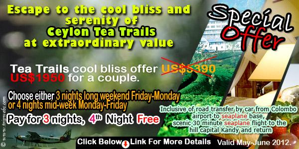 Ceylon Tea Trails Special Offer