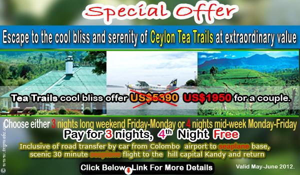 Ceylon Tea Trails Special Offer