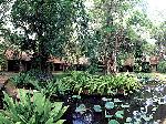 garden view - Sigiriya Village