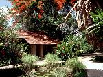 garden view - Sigiriya Village